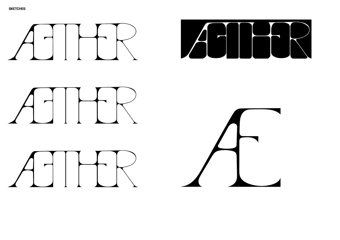 typography   Graphic Designer visual identity Logo Design designer typography design