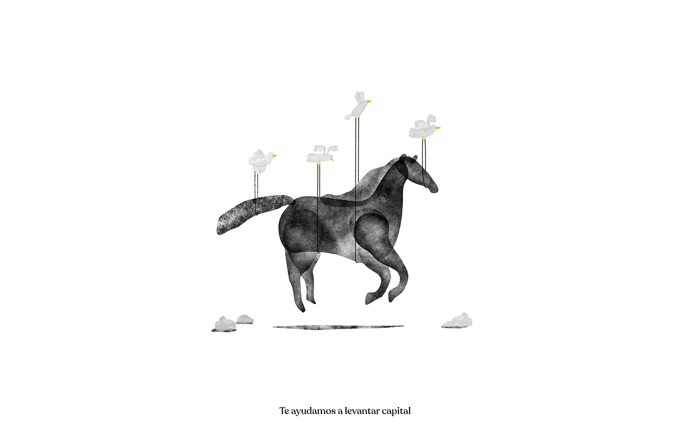 animals crowdfunding design handmade ILLUSTRATION  mexico texture Web