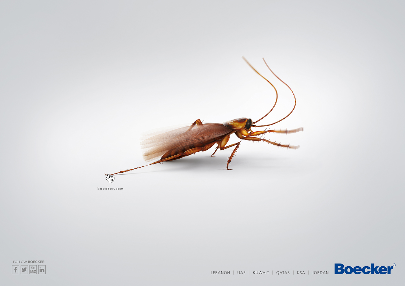 ant rat cockroach Pest control CGI 3D ao studio ahmed othman cairo egypt