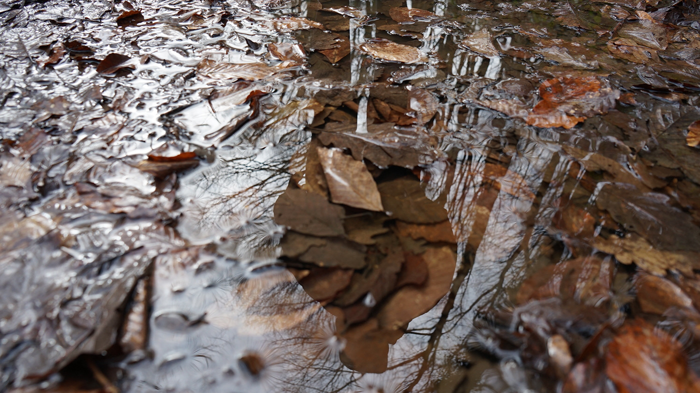 Mırror Photography  reflectıon water water reflectıon
