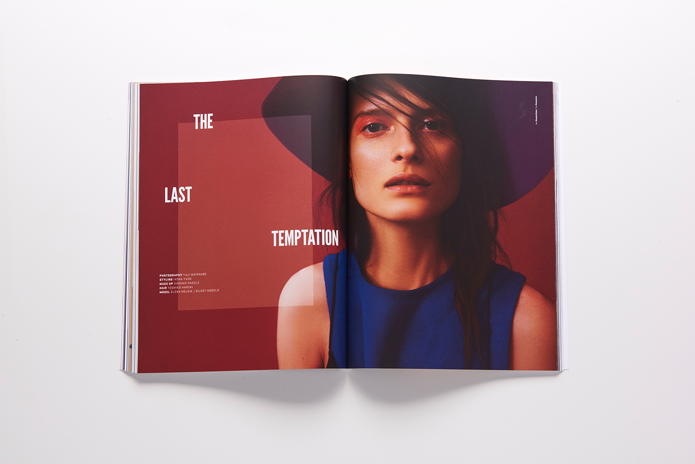 magazine Layout Fashion 