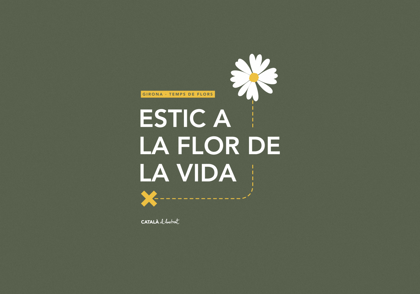Temps de Flors girona català flor flower pictogram