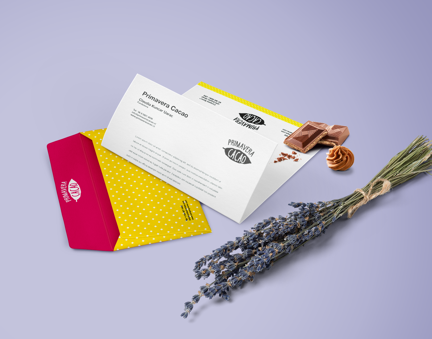 chocolate Packaging pralines empaques branding  Identidad de marca pattern Stationery