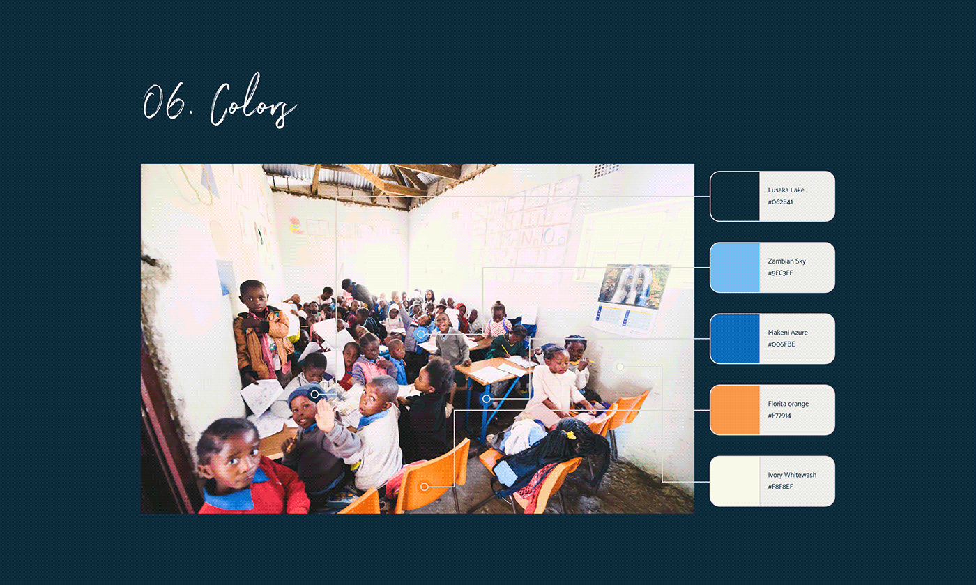 africa charity checkout donate Education school UI ux Website Zambia