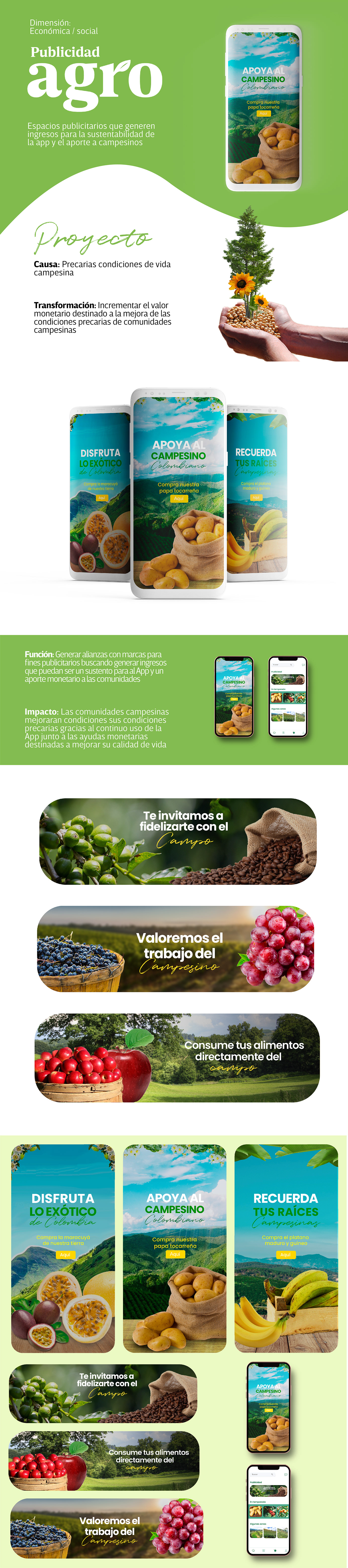 app design campo collage colombia graphic design  ILLUSTRATION  juegos de mesa publicidad Social media post Verde