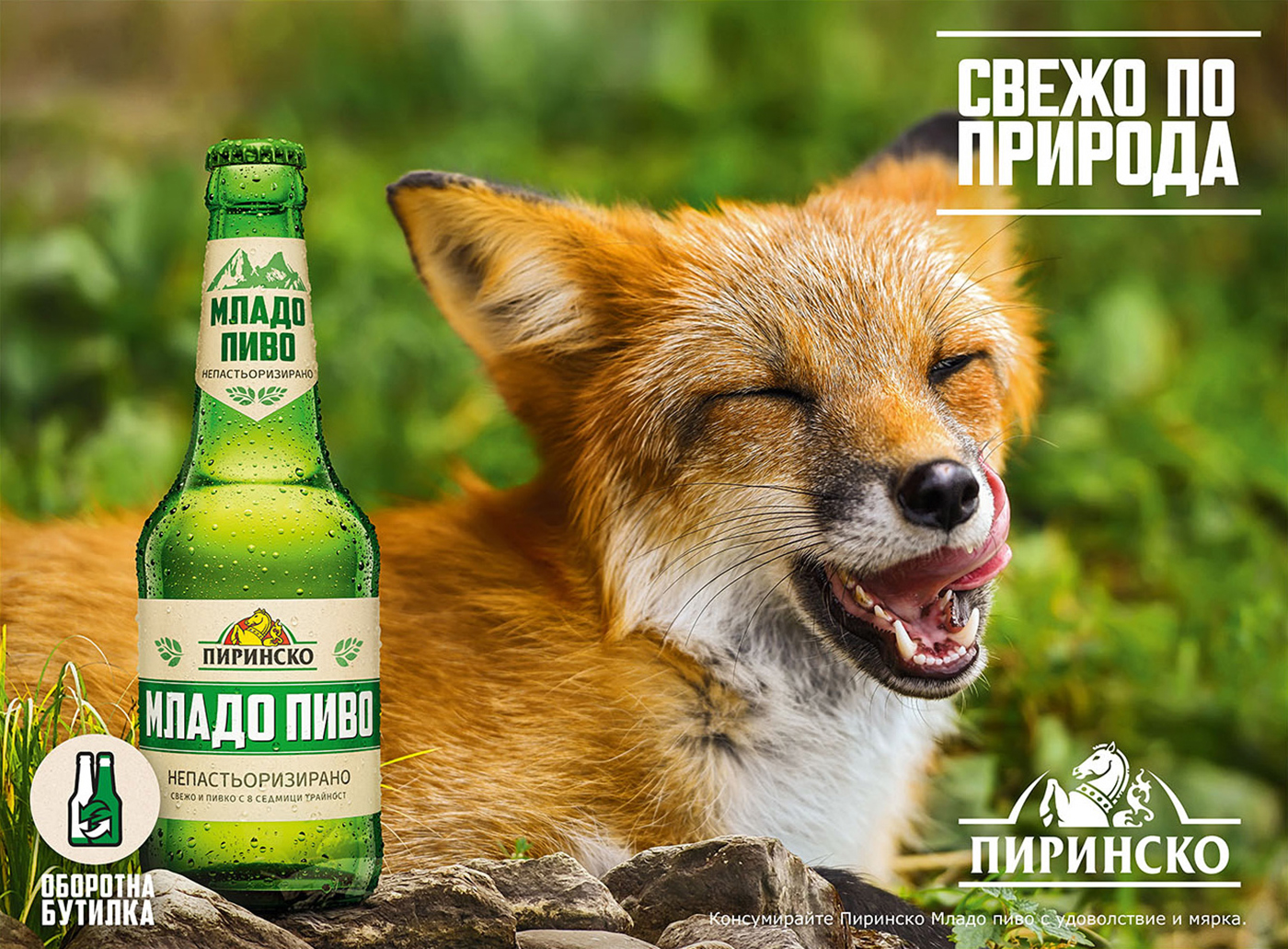 beer brew mountain Nature animals bear FOX wolf