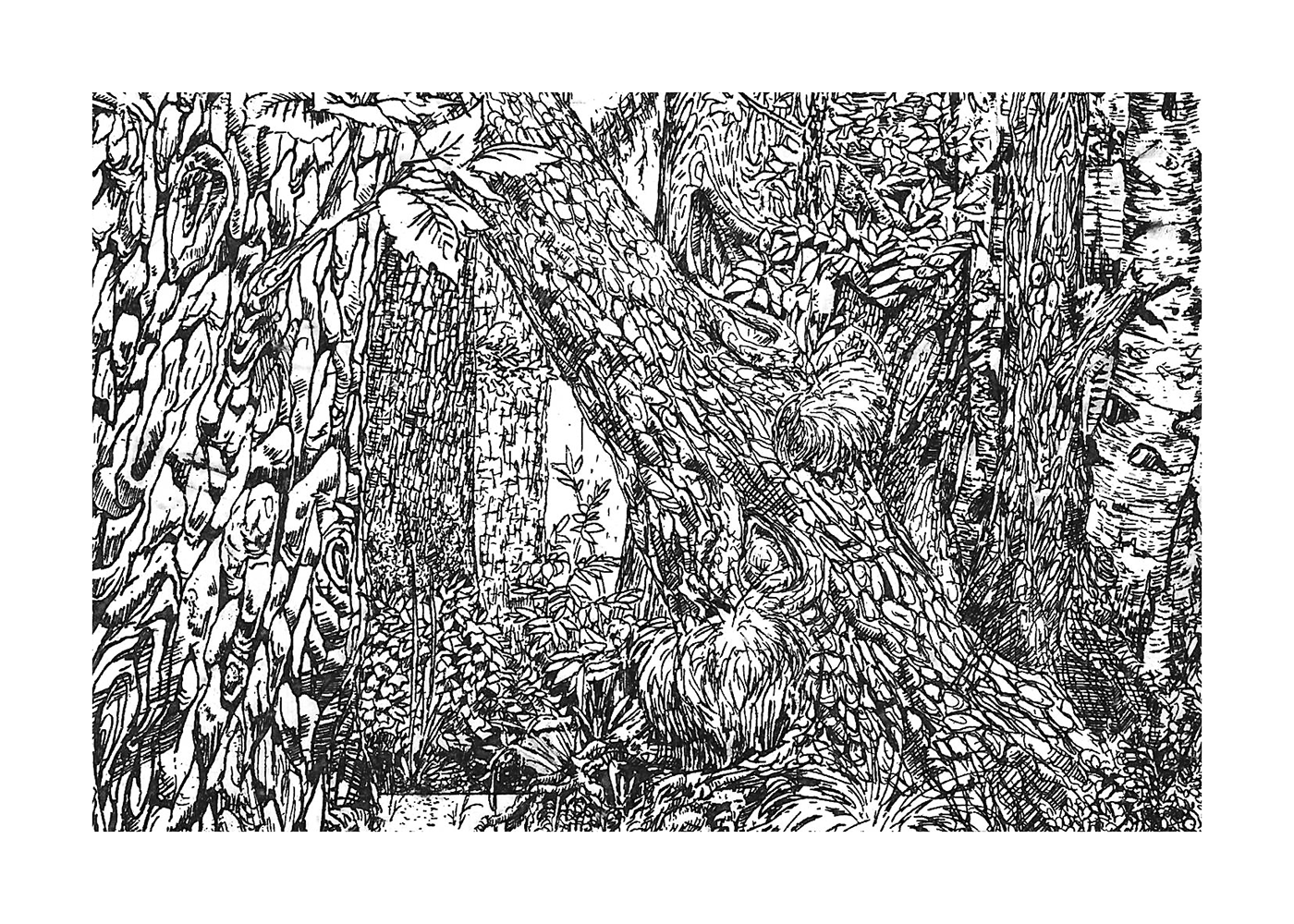 etching wood forest Black&white ink