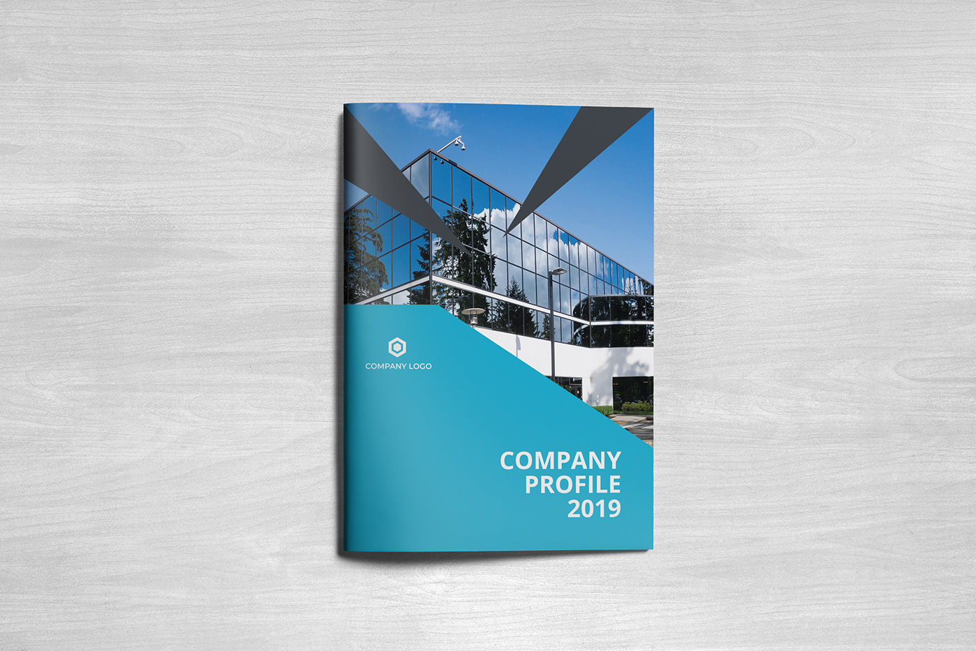 company profile business profile brochure business brochure business Company Brochure business brochure design Company profile design brochure design Business Design