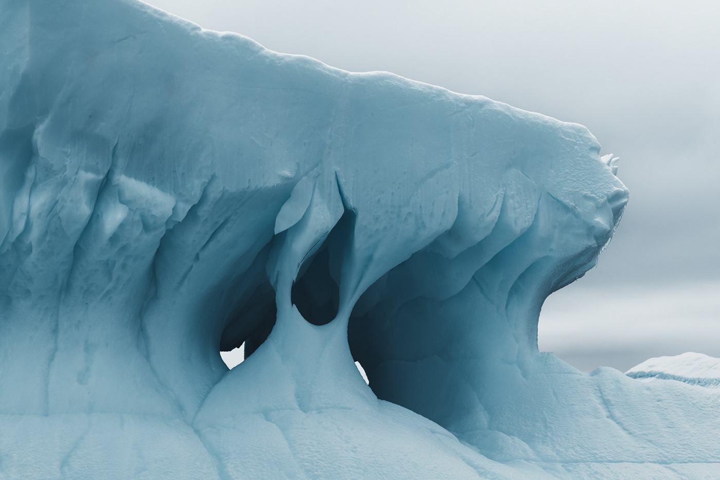 antarctica frozen iceberg landscape photography Nature Ocean Photography  texture water winter