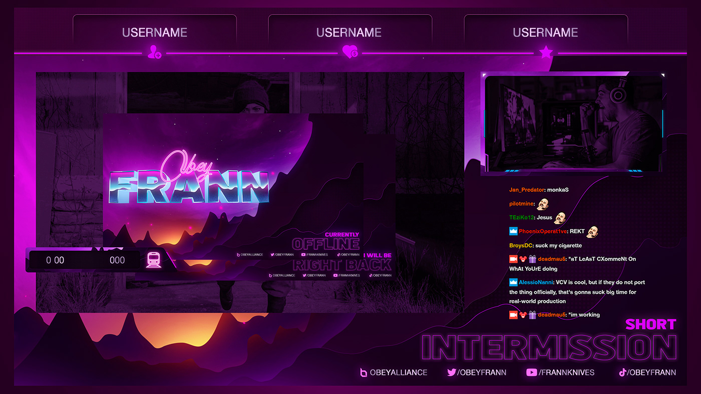 Facecam stream stream package Twitch twitch package design Gaming live stream visual identity panama