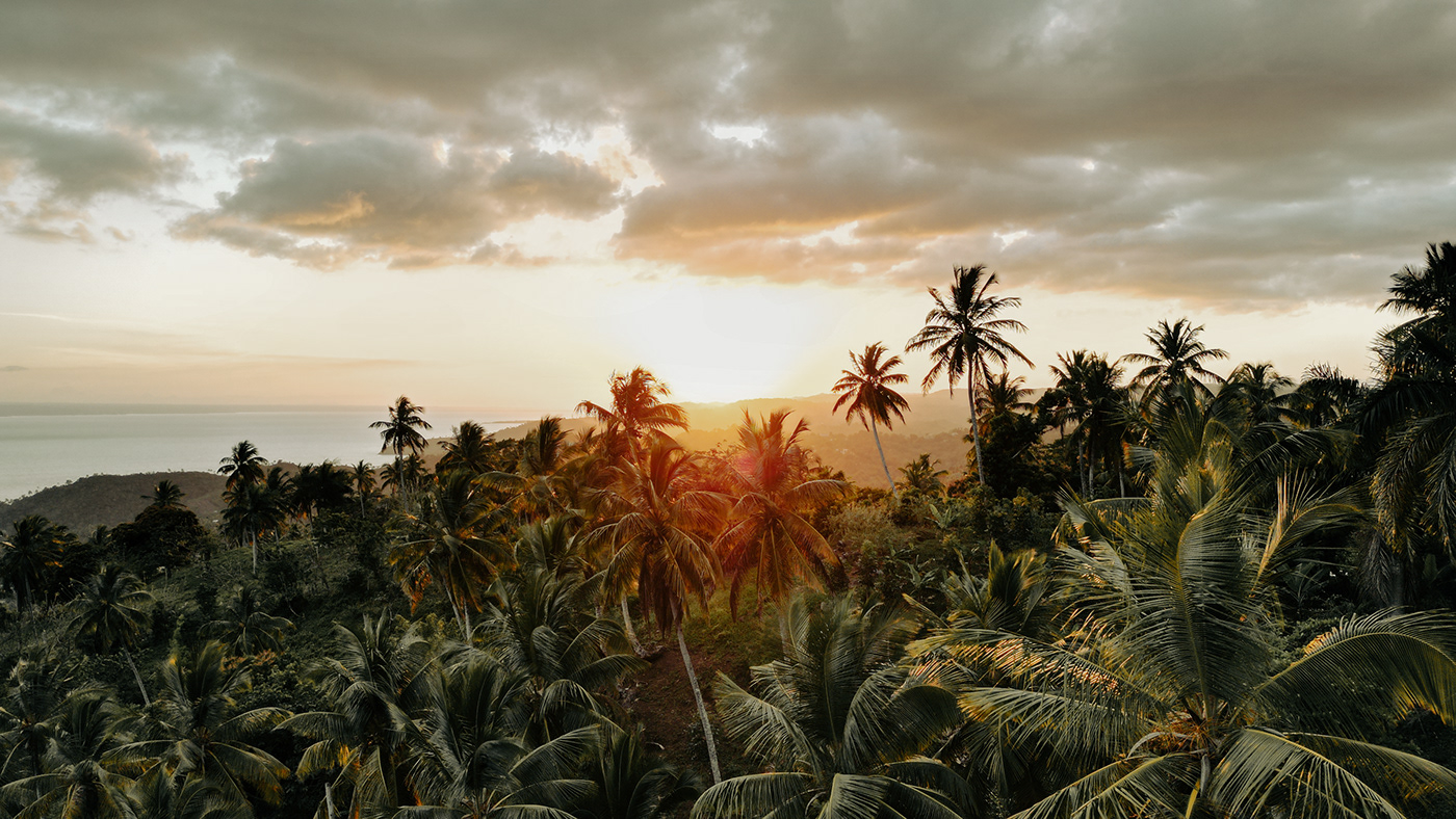 sunset palm photo drone DJI colors samana