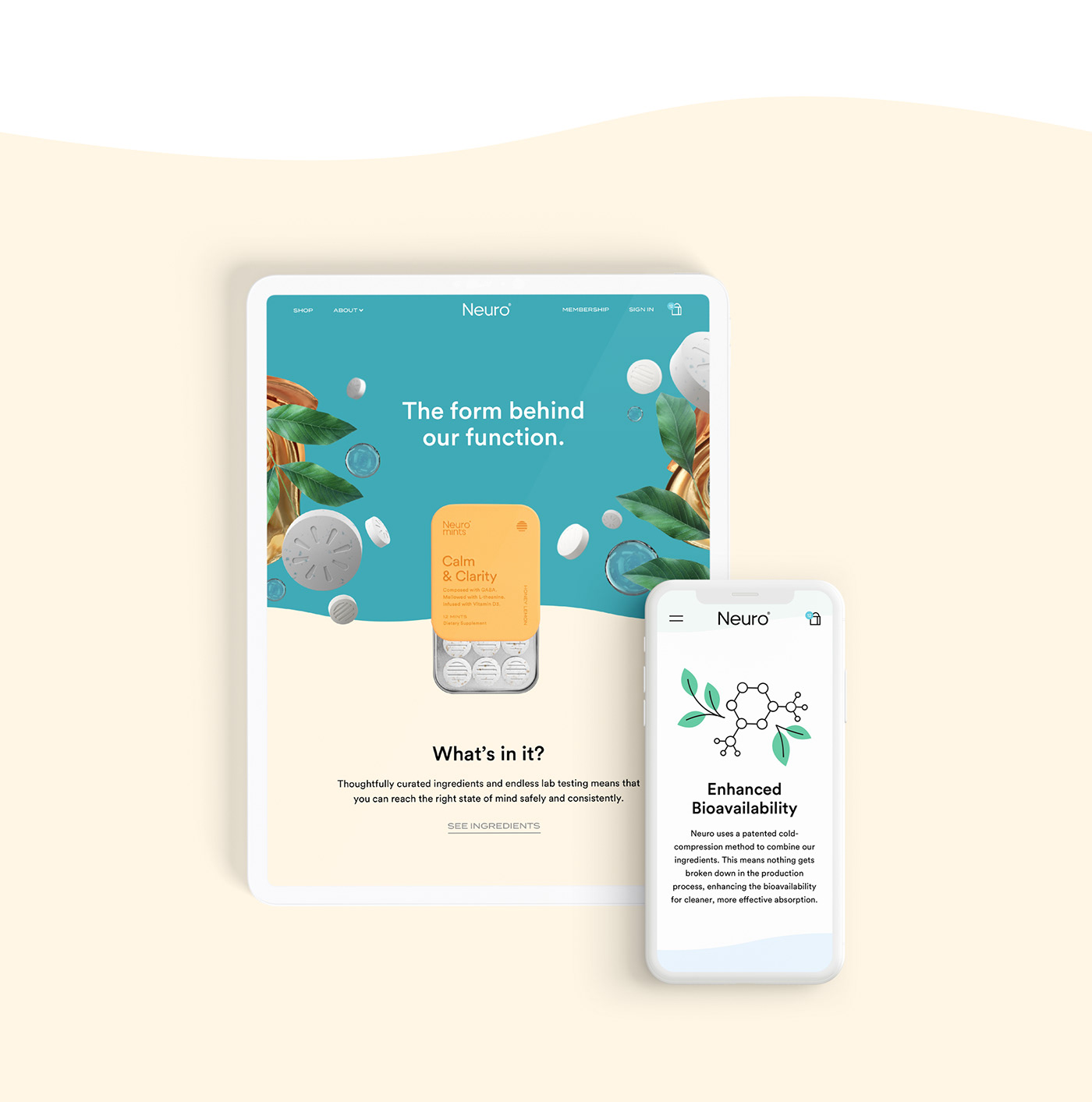 branding  gum Mints Packaging Photography  product Web Design  direct to consumer millennial