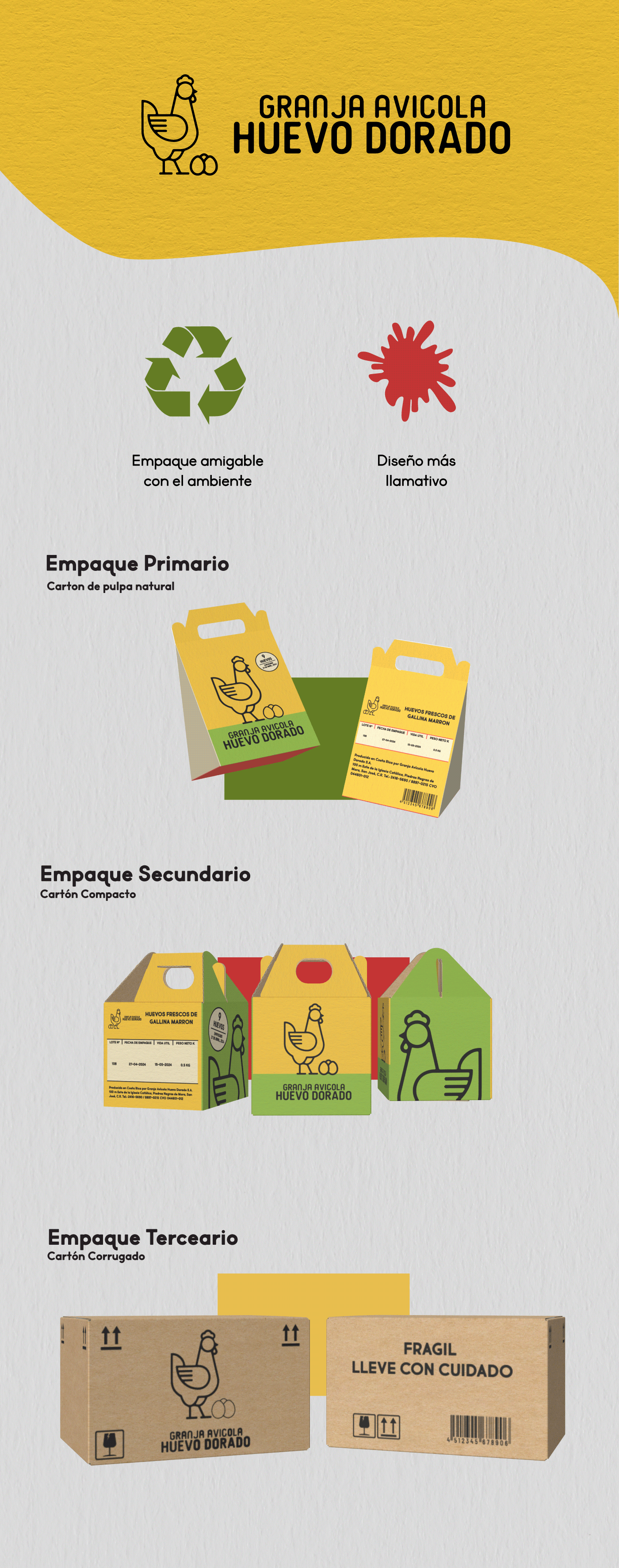 Packaging brand identity design
