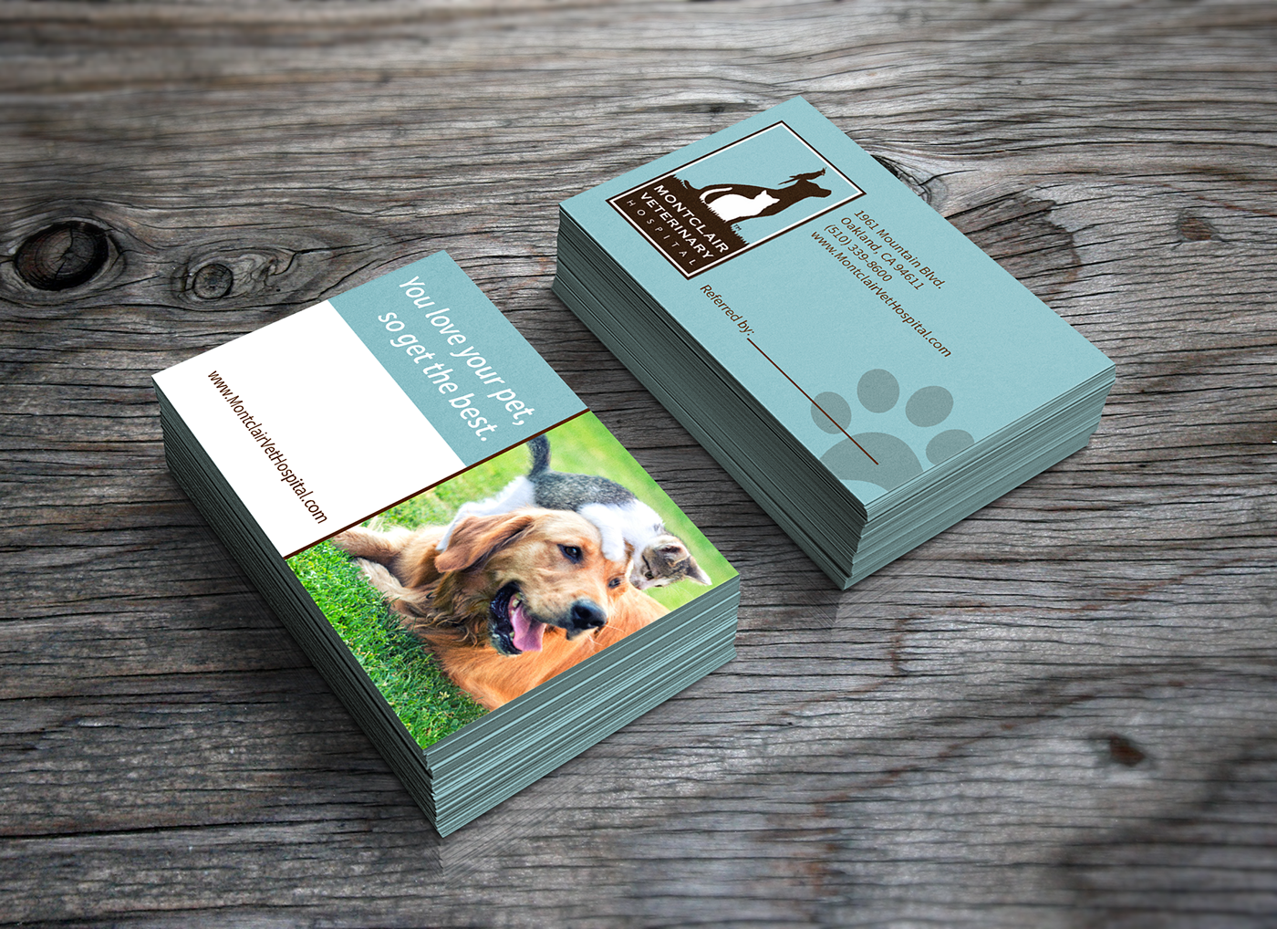 business card veterinarians dogs cats