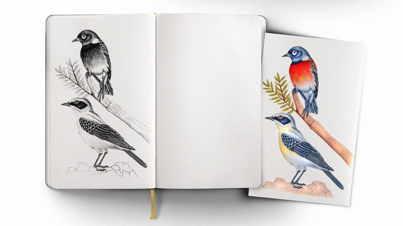 art bird blackandwhite draw fantastic flower ILLUSTRATION  sketchbook sketching woman