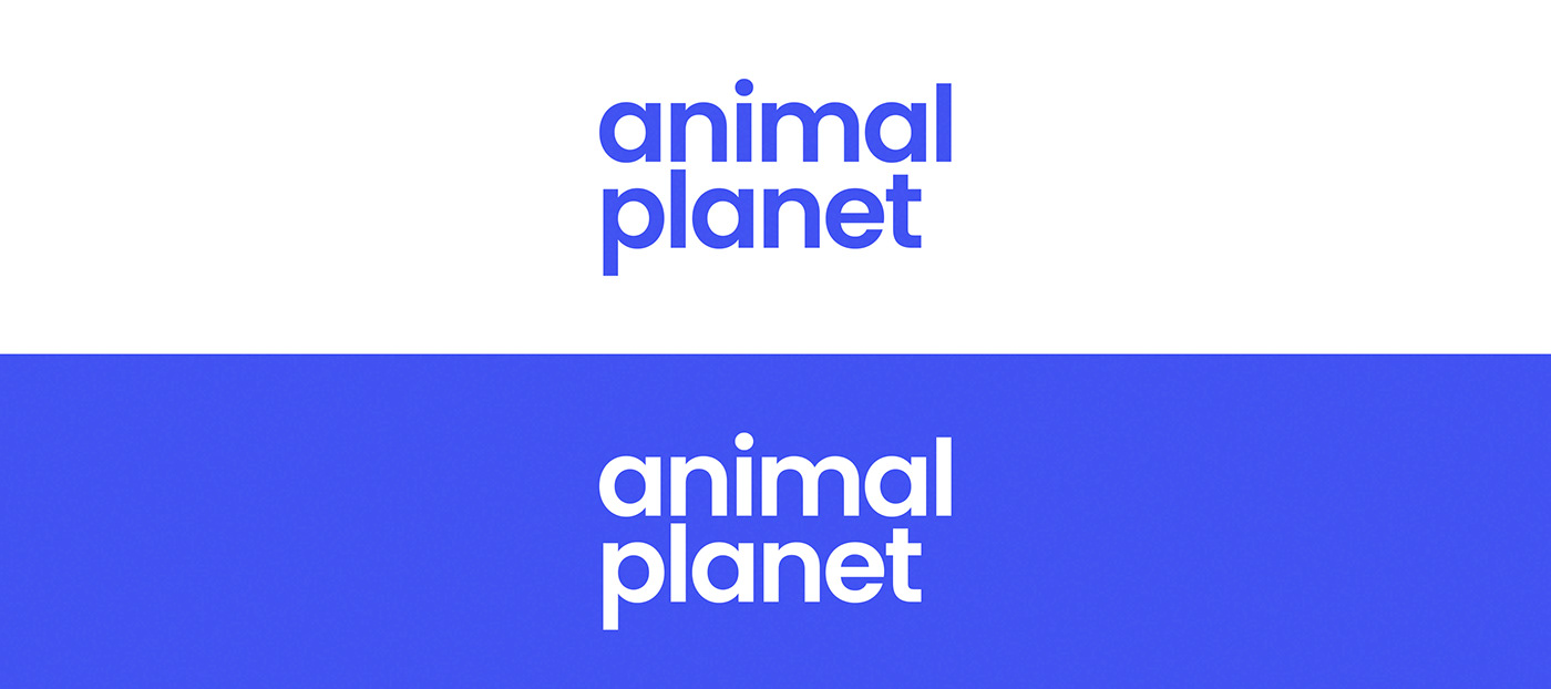 brand identity visual identity Logotype Brand Design branding  movie animal ILLUSTRATION  colorful