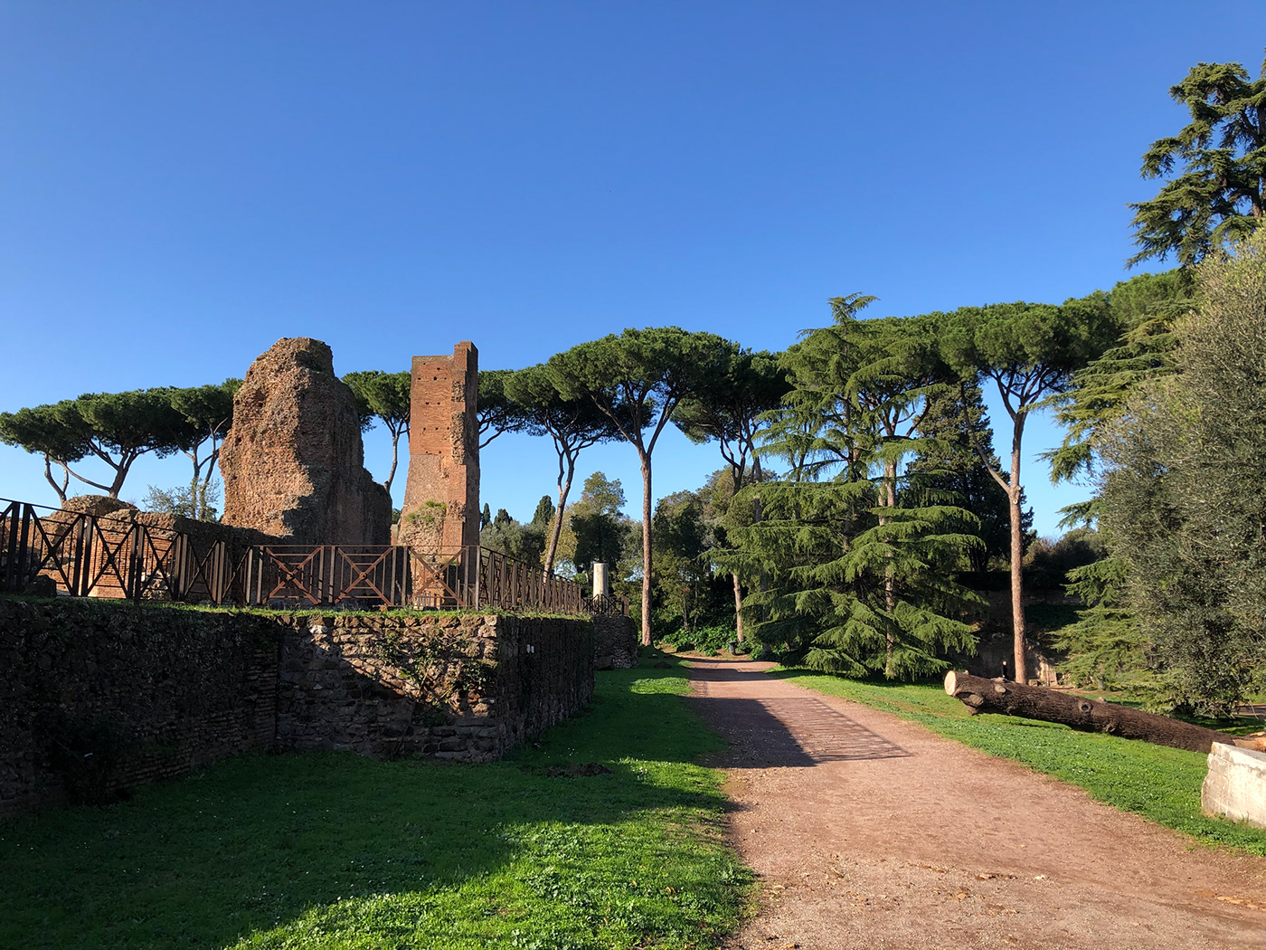 coliseo coliseum FORO italia Italy landscapes Photography  roma Rome Travel viajes