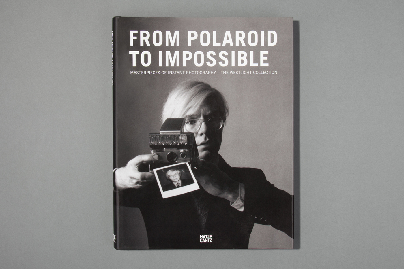 Instant Photography Instant Lab POLAROID impossible instant photo