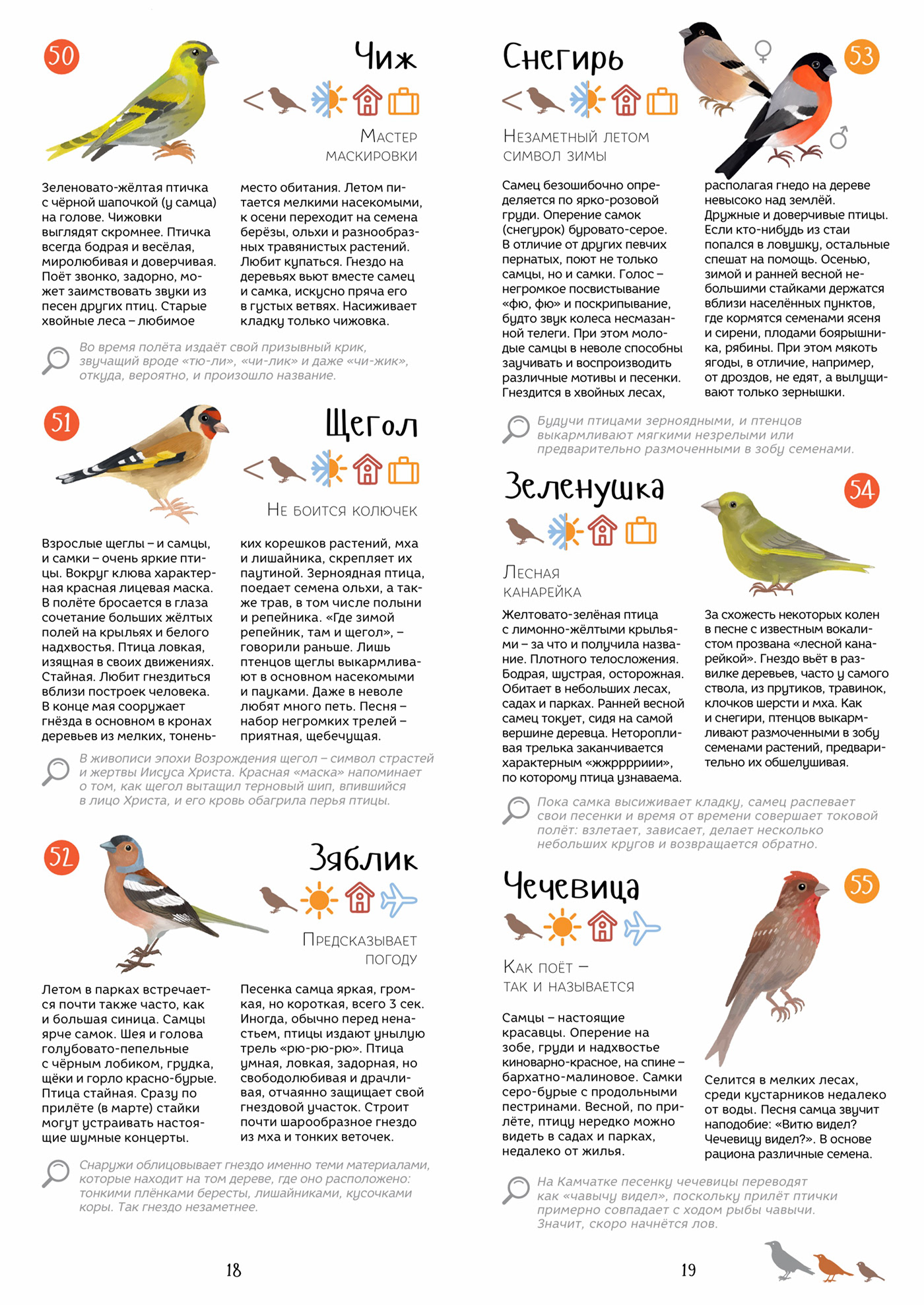 birds ornithology Park museum peterhof book map