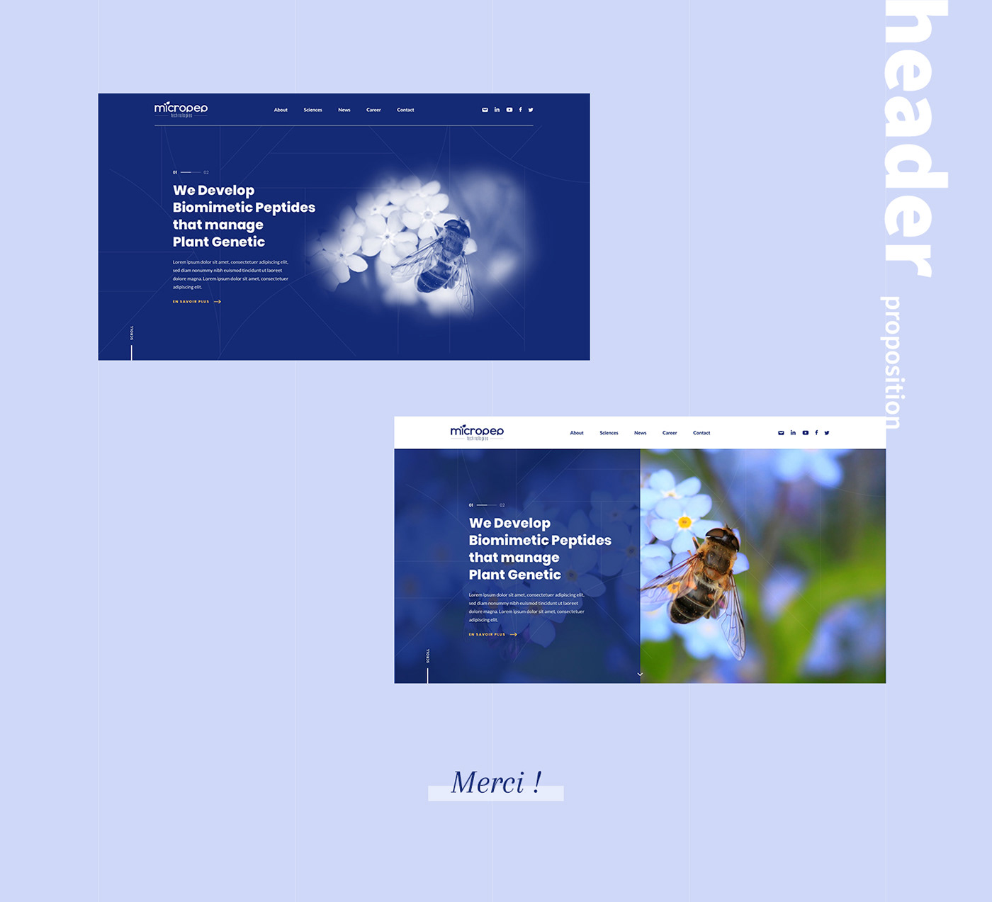 ui design branding  Webdesign Web Nature bio science