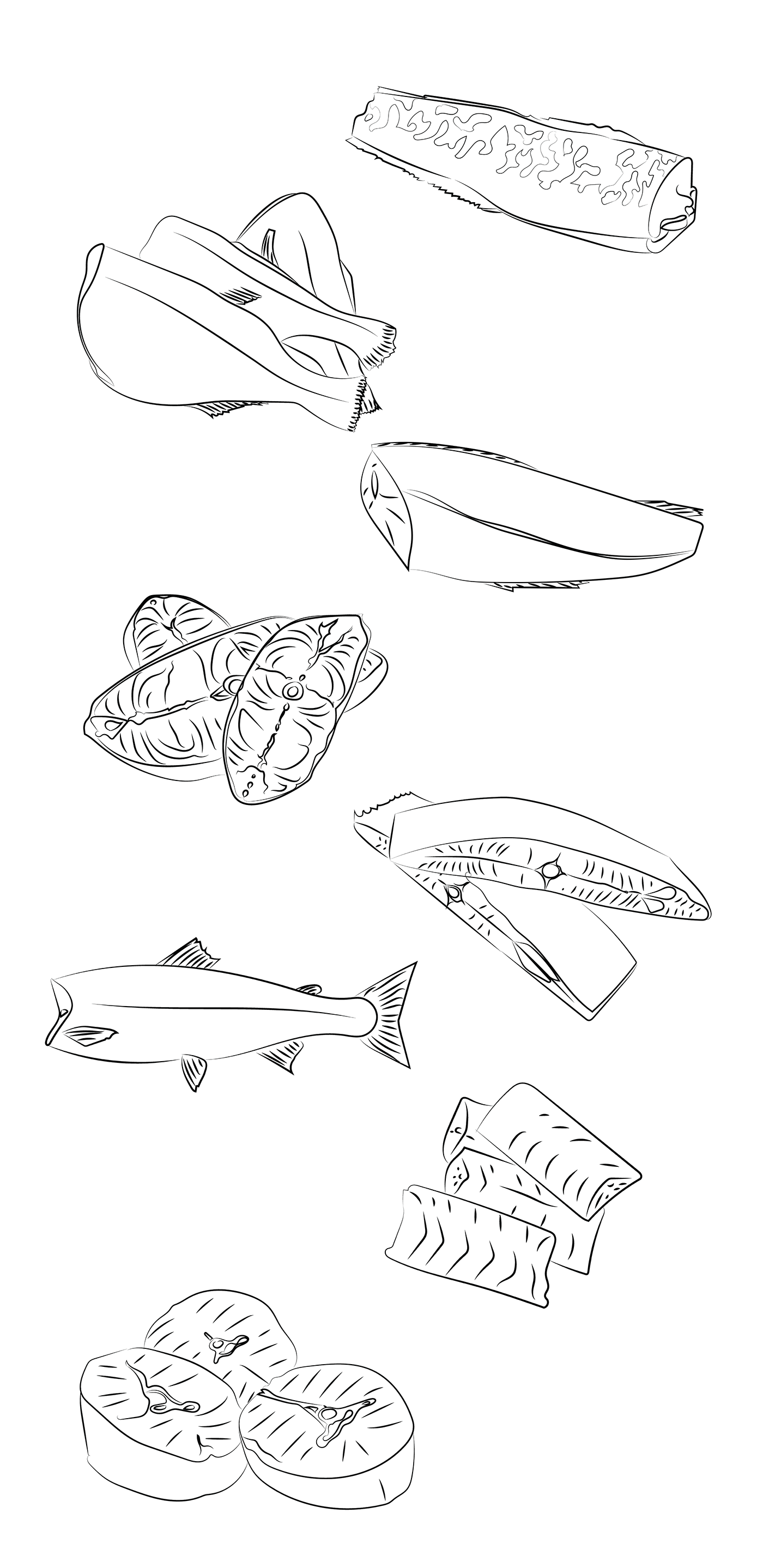 comida desenho friolhão Illustrador Ilustração mar marisco Moluscos peixes