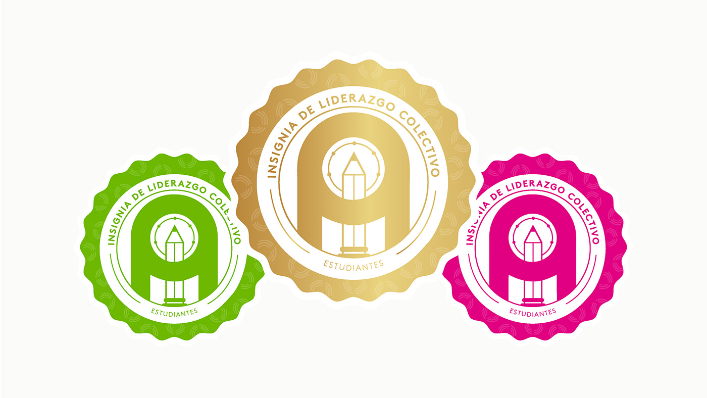 insignia Logo Design indentity University student portfolio