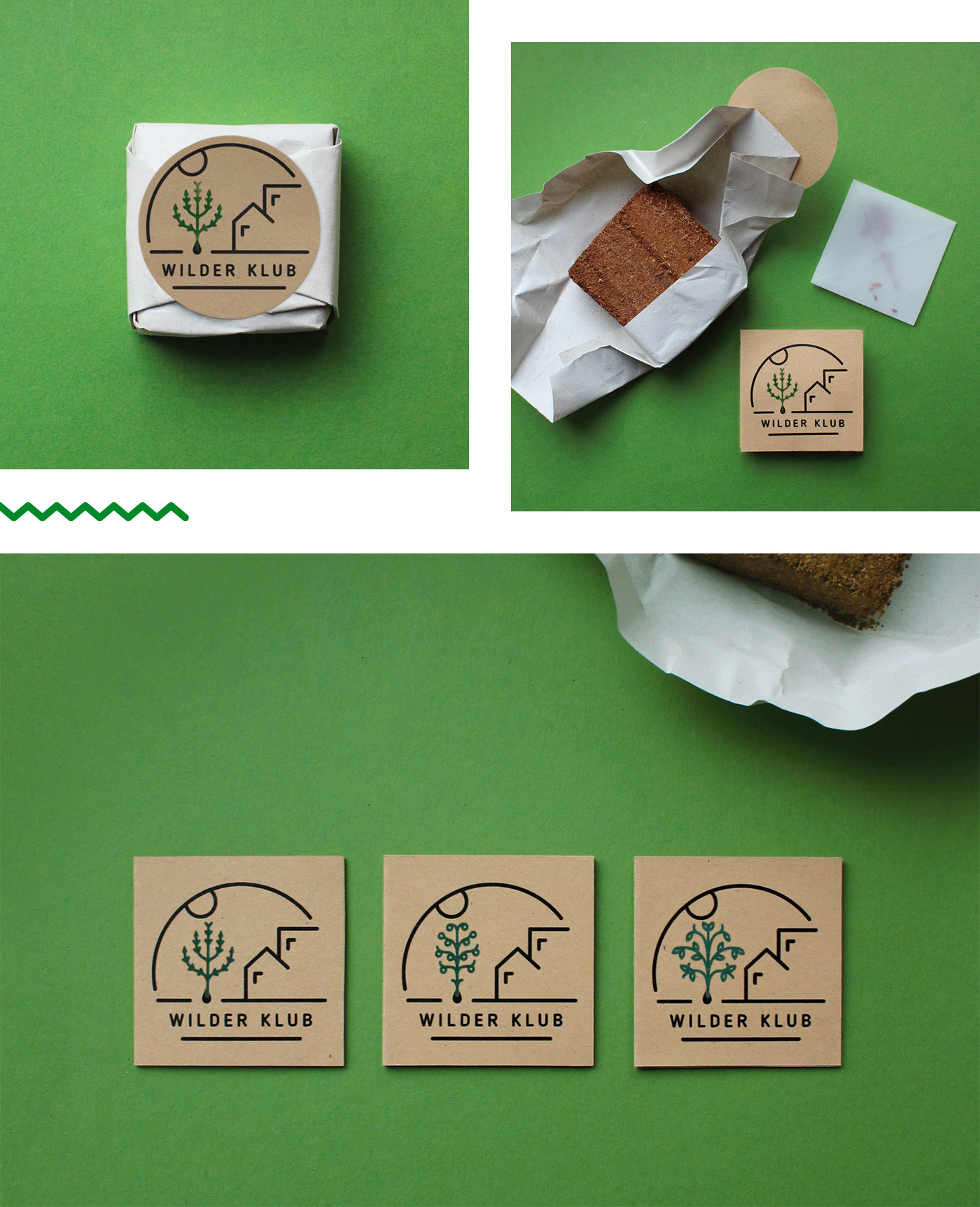 activism brand identity eco packaging green Guerilla Nature plants seed bombs Sustainability urban gardening