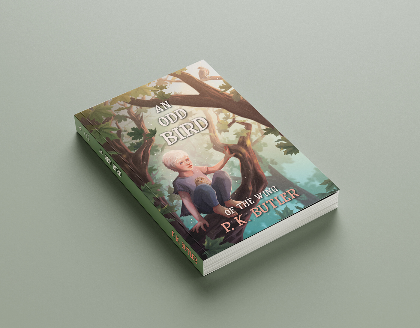Book cover design for self publishing author for print on demand. children's book story novel
