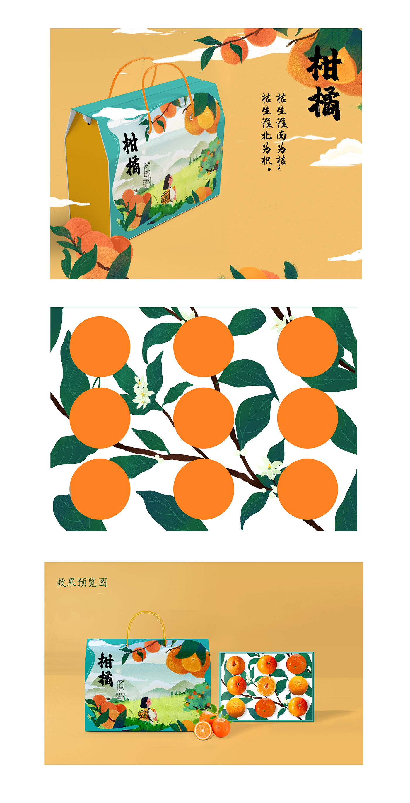 包装 插画 橘子