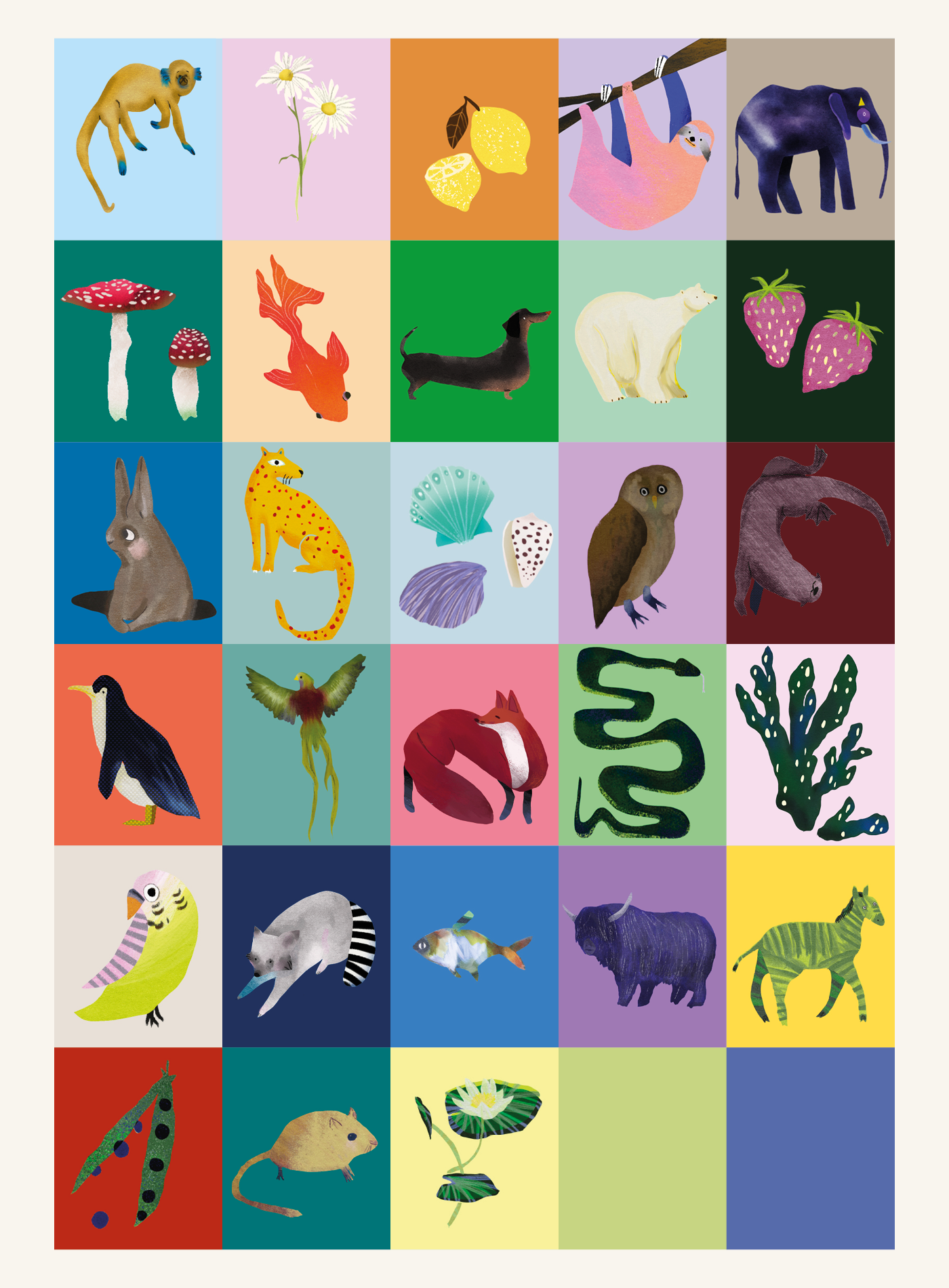 animals alphabet ABC ILLUSTRATION  Drawing  plants colour poster alphabet poster letters