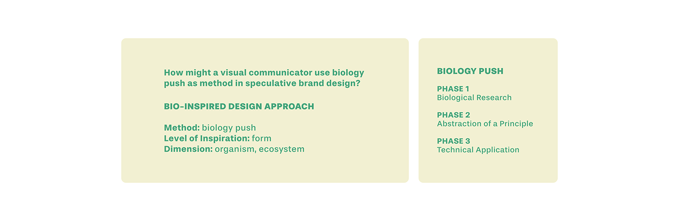brand identity Logo Design biology Nature design identity branding  interdisciplinary