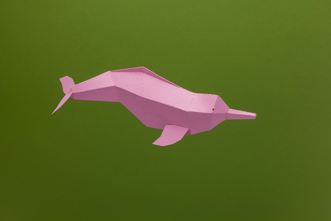papercraft lowpoly paperwhales dolphin humpbackwhale papertoys paperkits DIY orca ballenafrancaaustral