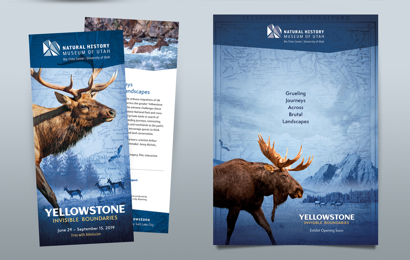 antelope bilboard bison deer elk exhibit museum National Park Yellowstone