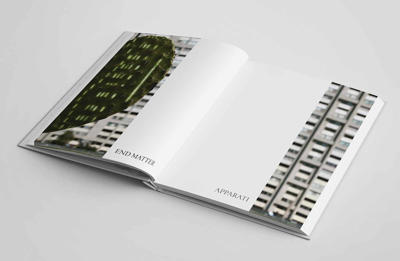 art book Bookdesign editoial editorialdesign grid InDesign Layout museum music