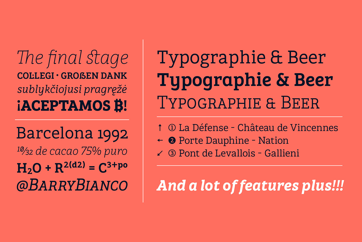 typography   slab editorial Typeface font