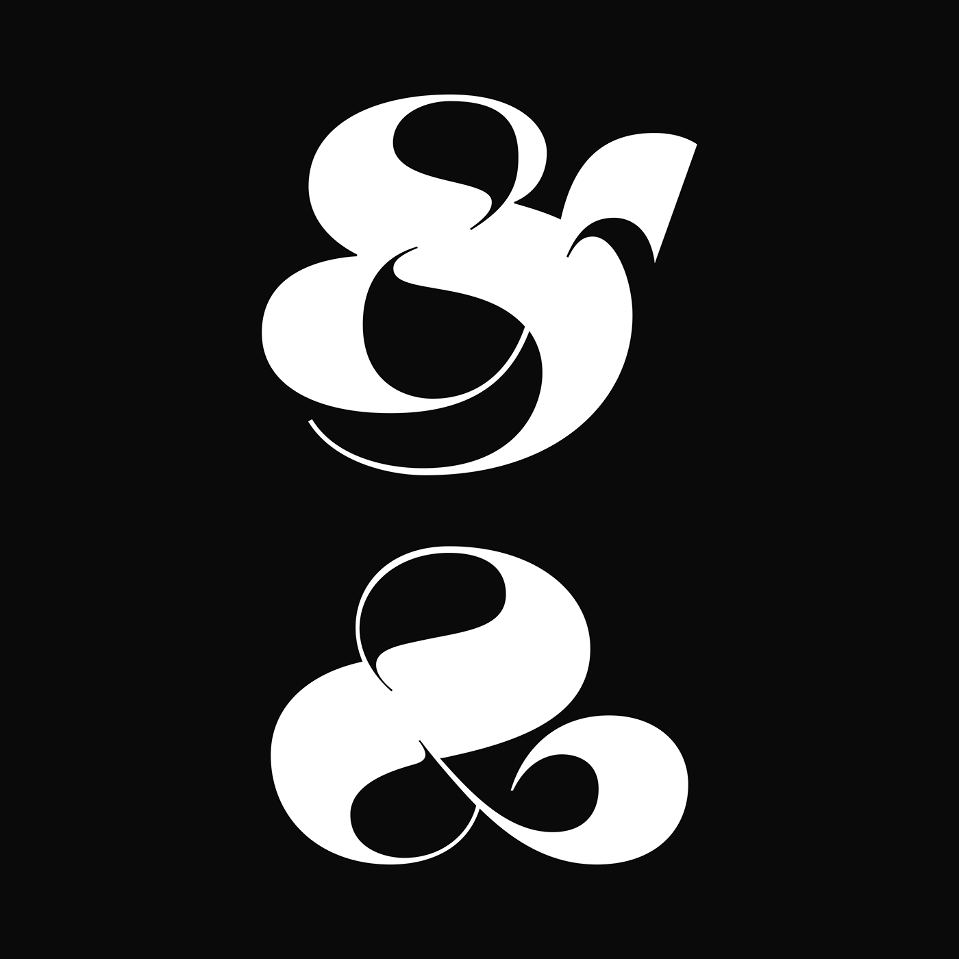 typography   typedesign lettering Handlettering Typeface font vectors beziers type graphicdesign