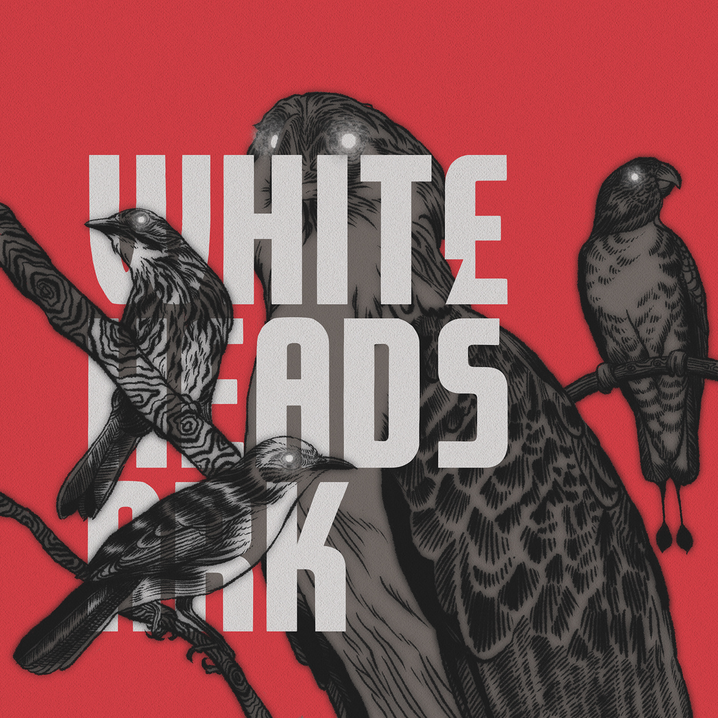 art direction  birds branding  Drawing  eagle graphic design  identity ILLUSTRATION  philippines whiteheads ark