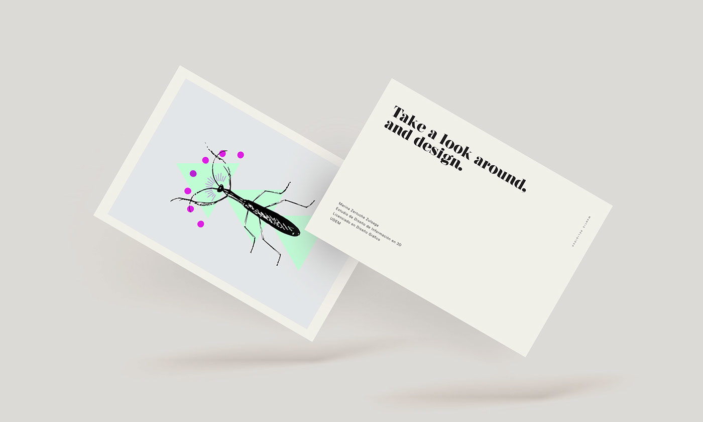 postcard postcard design mantis School Project postcard system editorial Icon insect insect icon udem