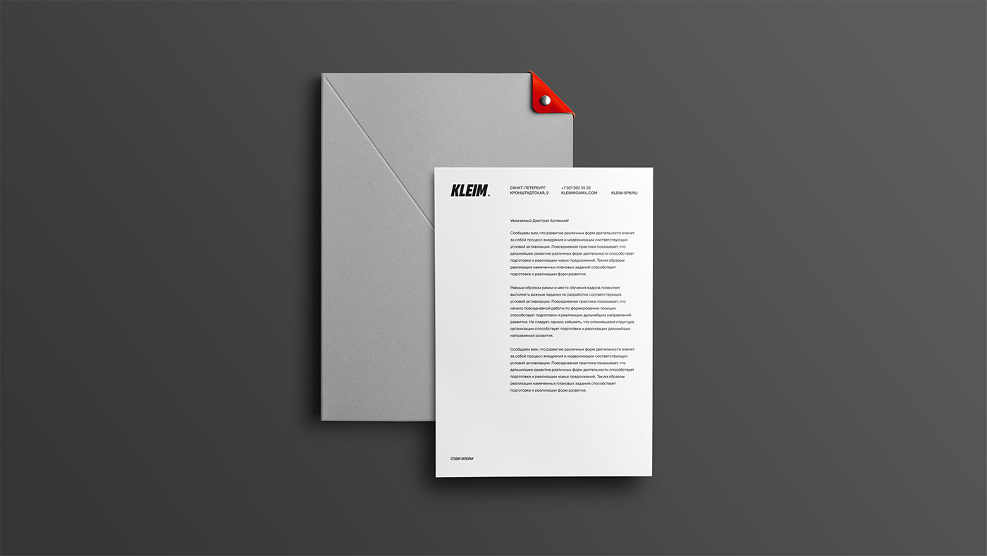 brand Brand Design brand identity brandbook branding  guidelines identity Logo Design Logotype visual identity