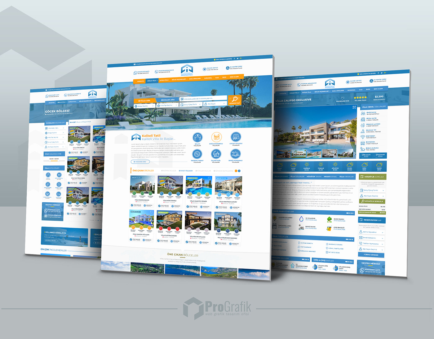 fethiye tasarım web tasarım grafik tasarım Turkiye tasarım Psd Tasarım web tasarım hizmetleri design agency designer pro grafik tasarım
