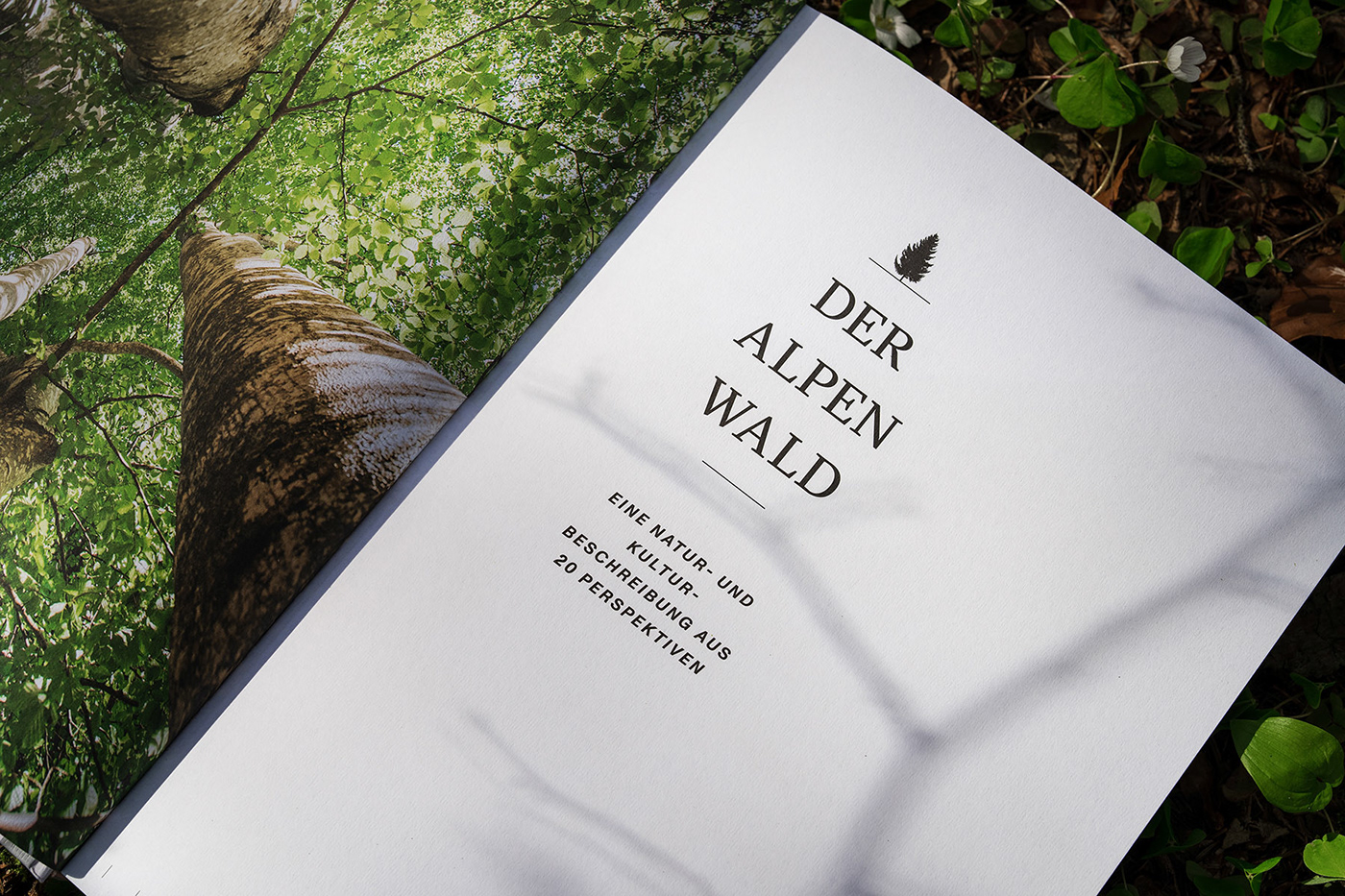 alpineforest Bookdesign graphicdesign wirsindartisten