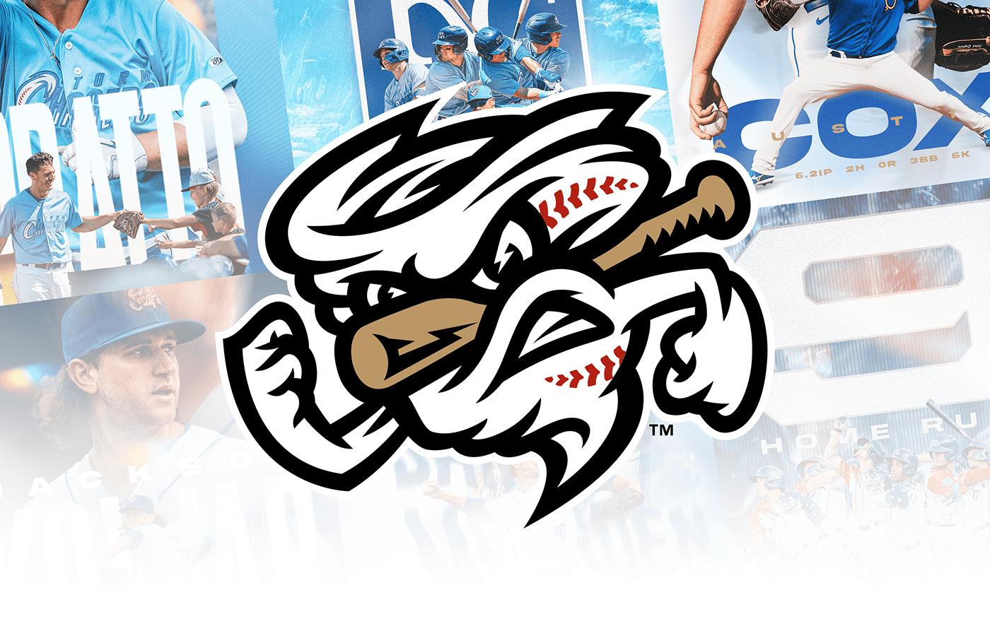 baseball graphic design  MiLB SMSports sports