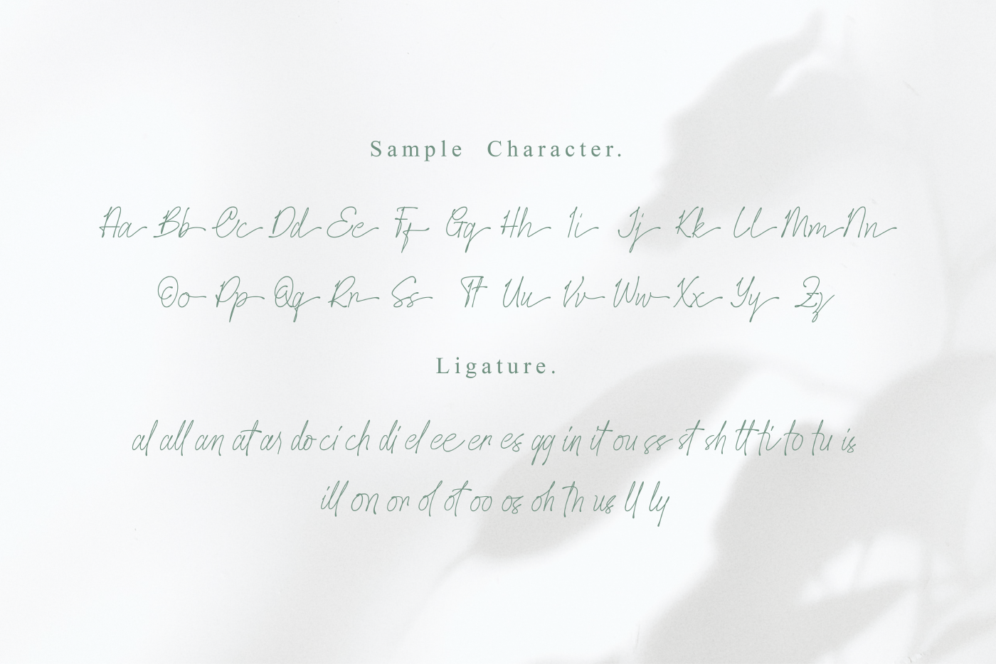 Calligraphy   display font handwriting ligature monoline Script signature Typeface typography   wedding invitation