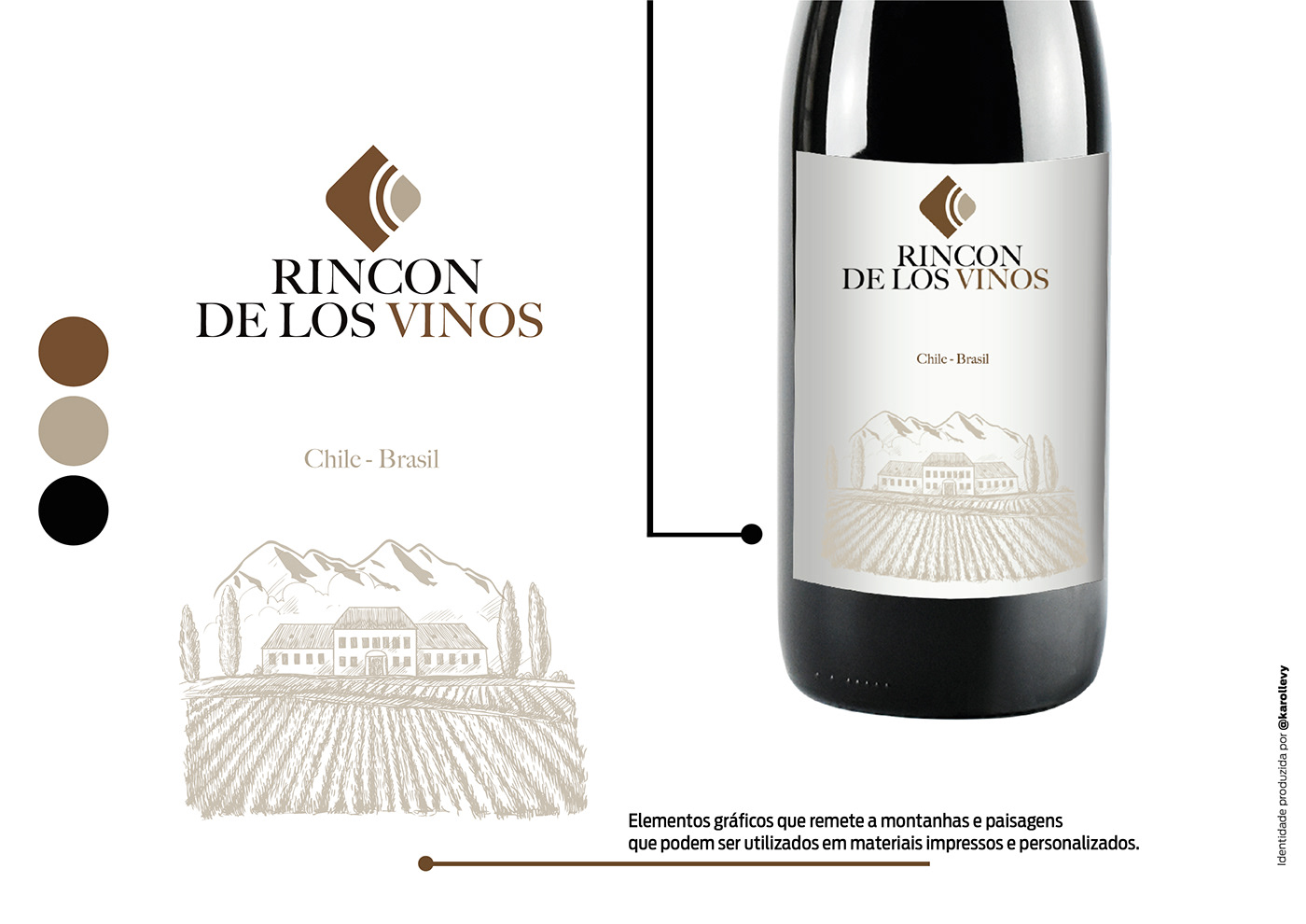 brand identity espumantes identidade visual Logotipo Ricon VINHOBRASILEIRO vinhoschile vinícola Vinos wine