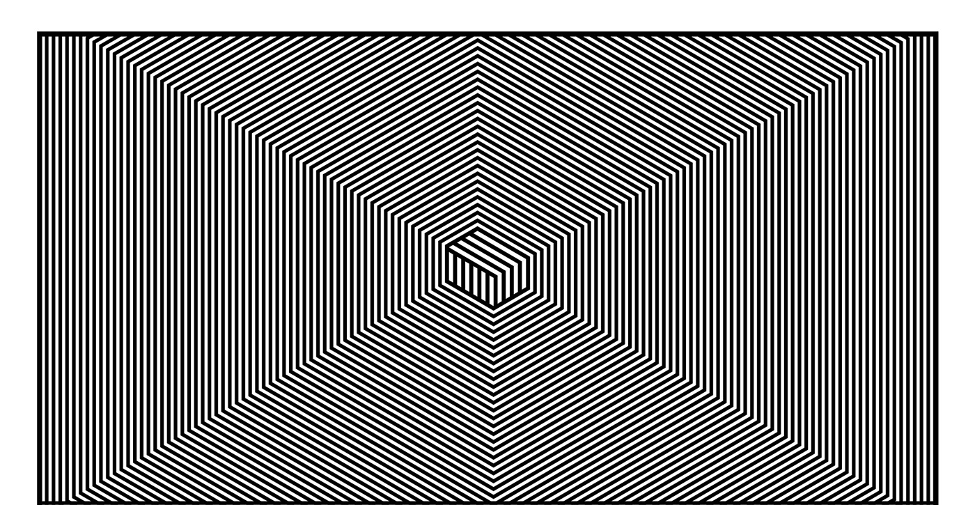 identity logo branding  visual illusion illusion redesign