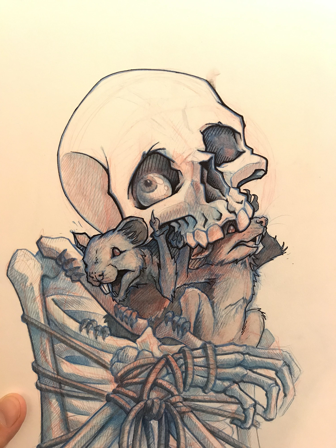 skull doodle sketch pencil Drawing  cartoon