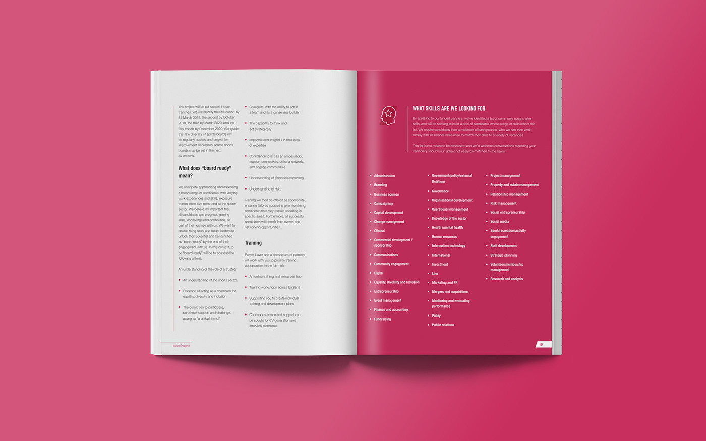 annual report iconography editorial sport charity organisation Layout brochure