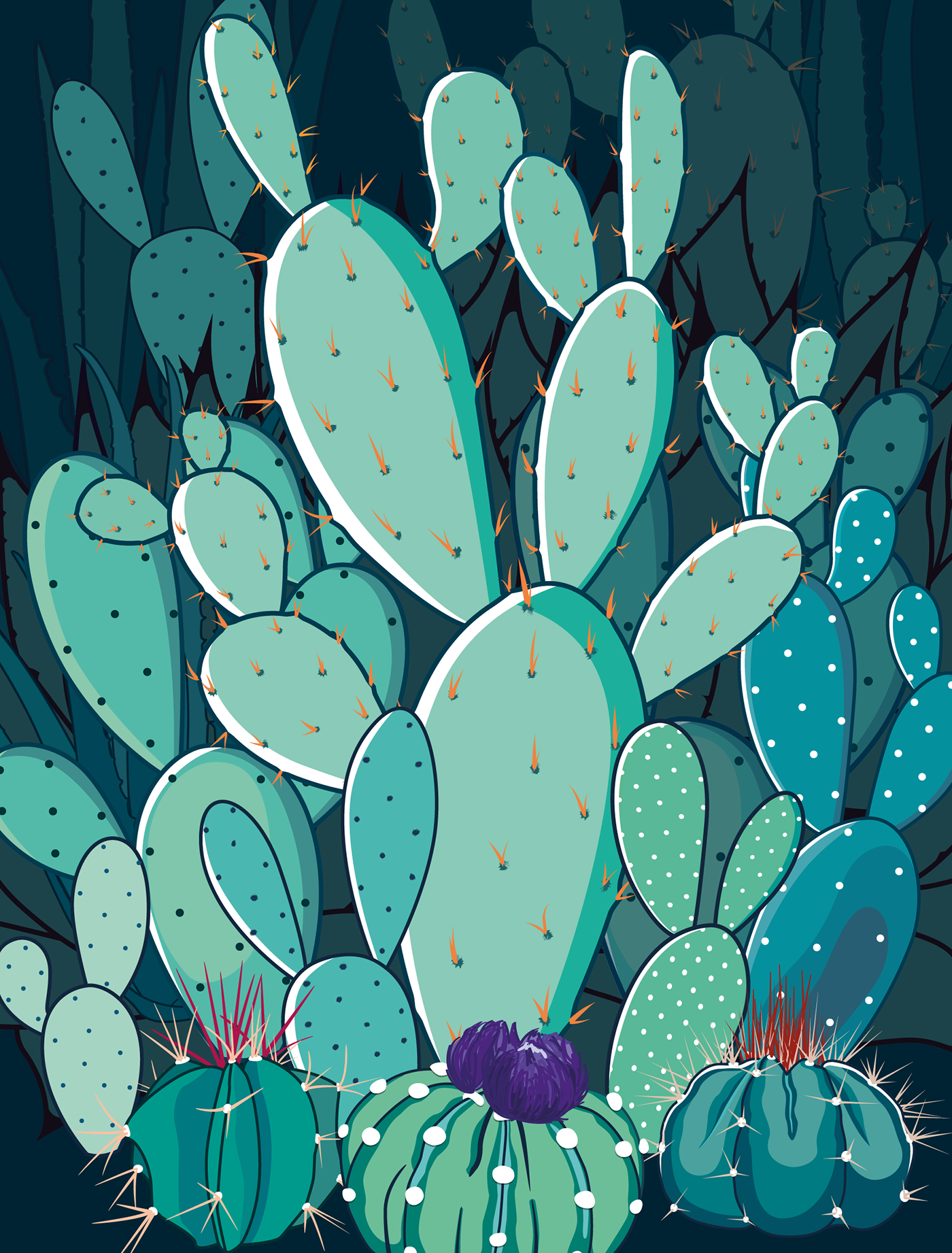 catus ILLUSTRATION  cacus illustration plants