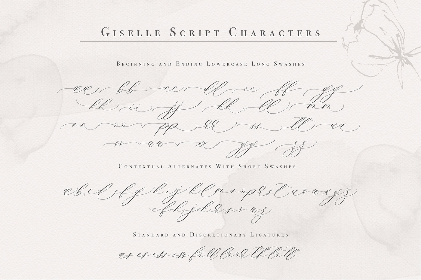 Script wedding Calligraphy   font wedding script wedding font feminine branding  invitations modern calligraphy