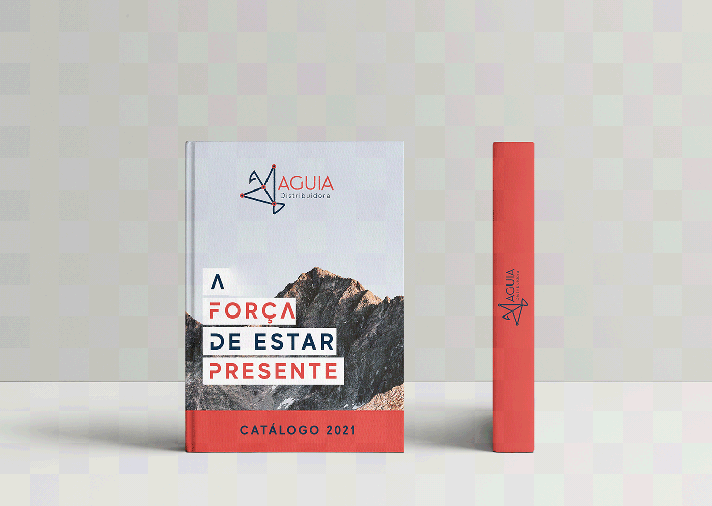 brand branddesign branding company design eagle identidadevisual identity logo rebranding